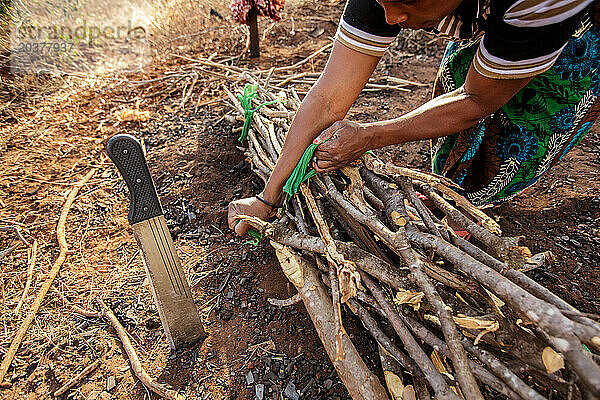Tansanische Frau sammelt Holz