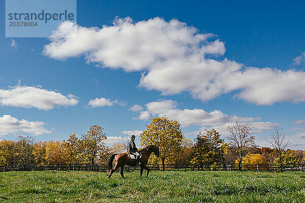 Mann reitet kastanienbraunes Hengstpferd mit blauem Himmel und Herbstblättern