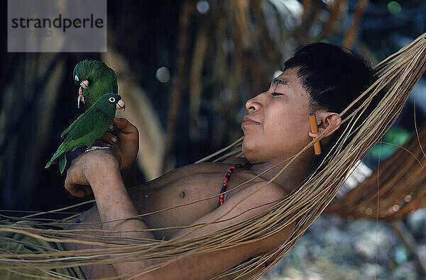 Yanomami-Indianer liegt in einer Hängematte mit einem Paar Papageien am Handgelenk. Im Amazonaswald im Süden Venezuelas.