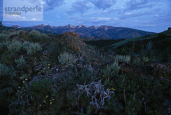 Die Jarbidge Wilderness im Humboldt National Forest  NV.