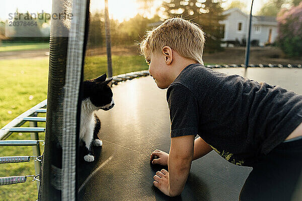 Junge und Katze sitzen im Sommer zusammen auf dem Trampolin.