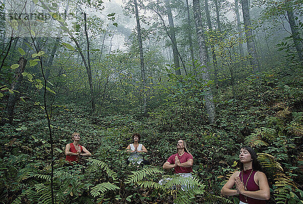 Eine Gruppe von Menschen praktiziert Yoga im Wald  North Carolina  USA.