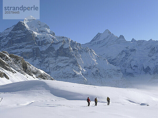 Skifahrer rutschen nach einem Tag abseits der Piste in Grindelwald einen verschneiten Hang in den Bergen des Schweizer Berner Oberlandes hinunter