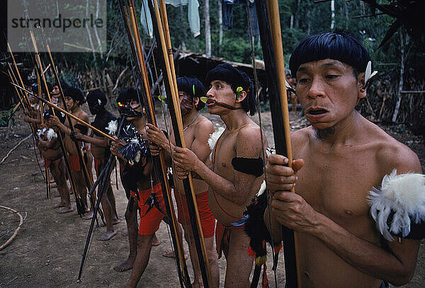 Yanomami-Indianermänner mit bemalten Körpern und Federschmuck und Speeren bereit für ein Fest. Im Amazonaswald im Süden Venezuelas.