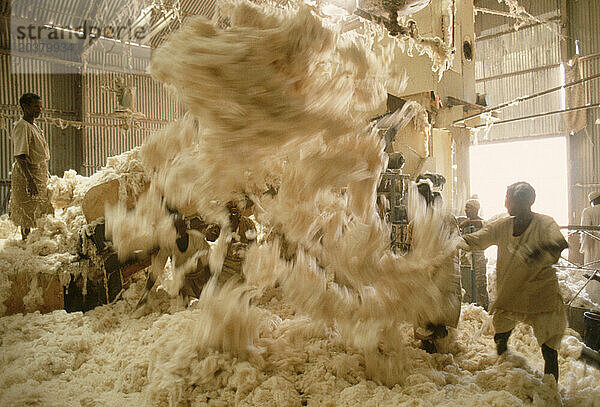 Arbeiter sortieren Baumwolle in einer Fabrik im Sudan.