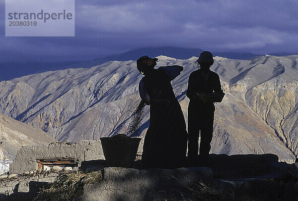 Silhouette von Bauern  die auf einem Berggipfel in Mustang  Nepal  die Ernte dreschen und ernten