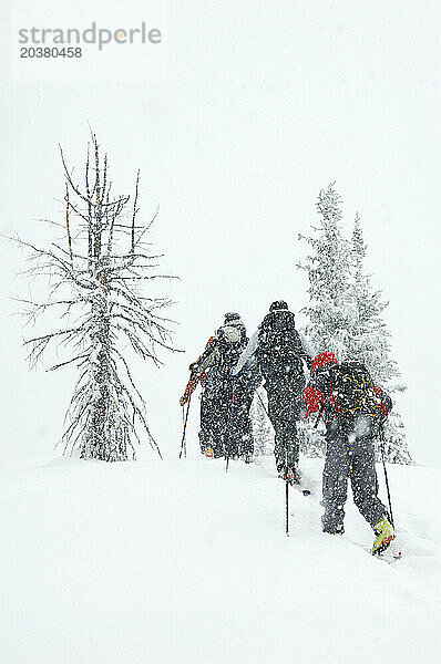 Backcountry-Skitouren auf dem Schuykill Ridge in der Nähe von Crested Butte  Colorado.