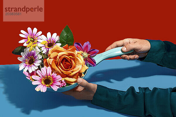 Hands of man holding blooming flowers in frying pan against colored background