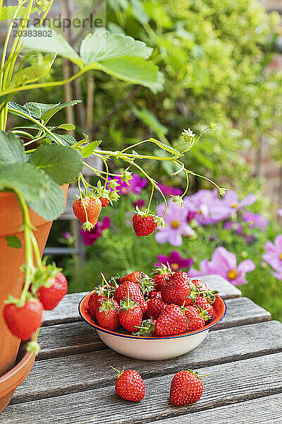 Ripe strawberries on wooden table