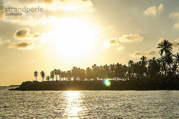 Mexico  Sinaloa  Sun setting over coastal palm trees