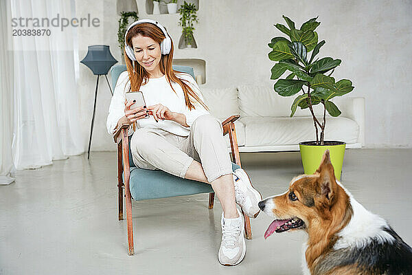 Woman using smart phone in chair in front of dog at home