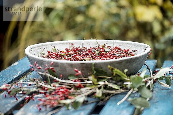 Fresh barberries in bowl on wooden table in garden