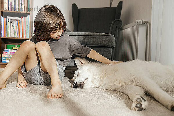 Boy petting dog sleeping in living room at home