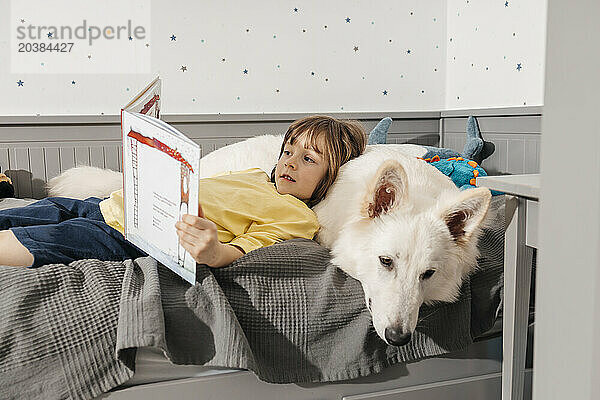 Boy lying on bed and reading book with white colored Swiss shepherd dog