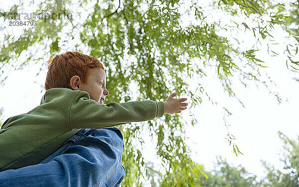 Redhead boy stretching out hand towards tree canopy in forest