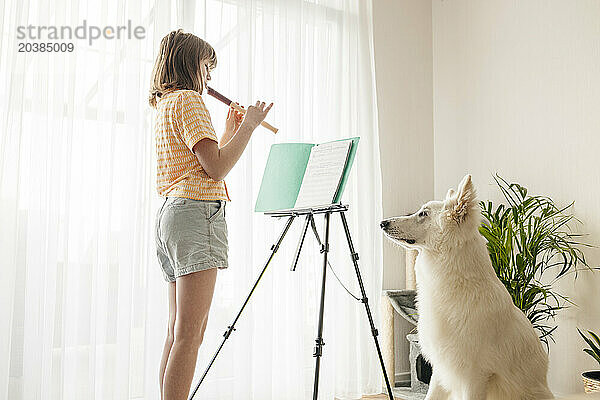 Girl playing flute near white Swiss Shepherd dog at home