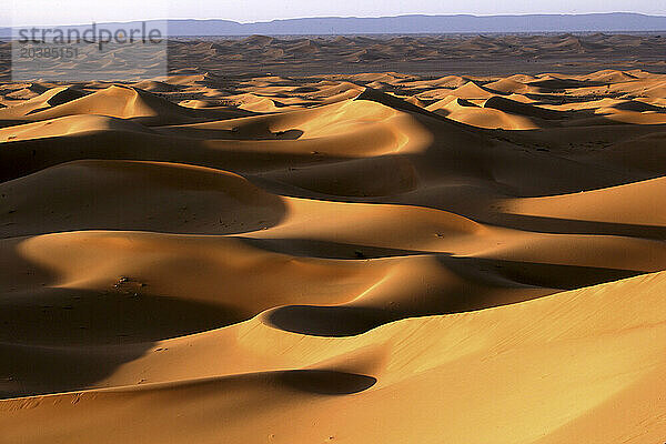 Sand dunes in Sahara desert  Morocco  North Africa