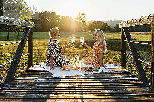 Friends toasting wineglasses sitting in park