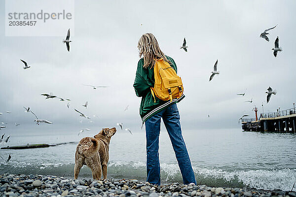 Woman feeding seagulls standing with dog at seashore