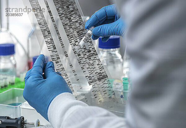 Senior scientist analyzing test tube and DNA autoradiogram in laboratory