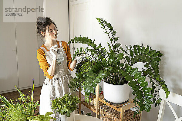 Woman spraying water on potted plants at nursery