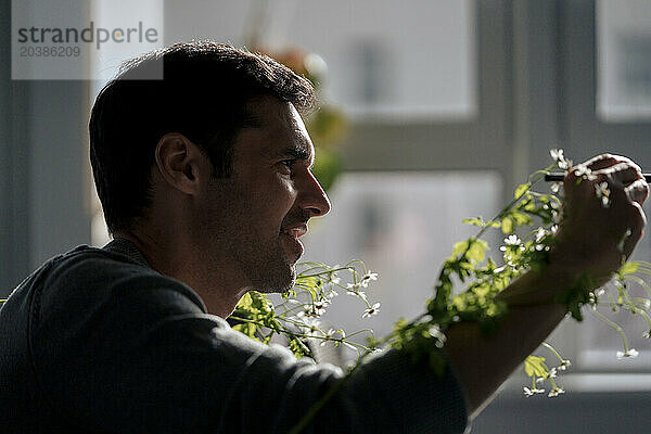 Smiling businessman with plants and holding digitized pen in office