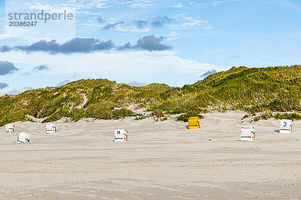 Germany  Schleswig-Holstein  Amrum  Hooded beach chairs on empty beach