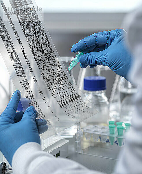 Scientist analyzing DNA electrophoresis data in laboratory