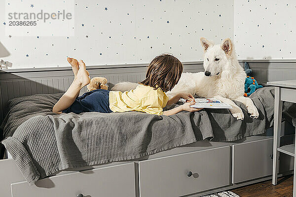 Boy lying on bed with white Swiss shepherd dog at home