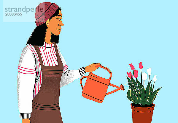 Woman in beanie watering tulips against blue background