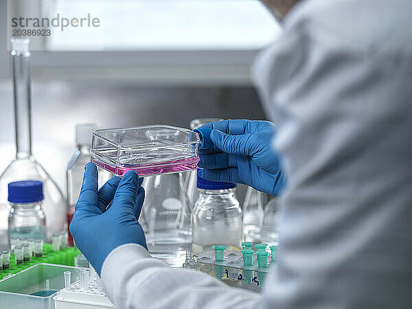 Scientist examining medical sample in cell culture flask at laboratory