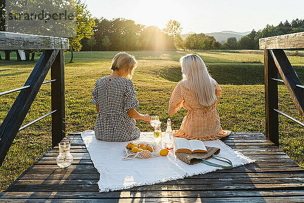 Friends having picnic in park on summer vacation