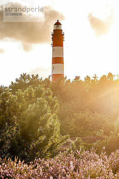 Germany  Schleswig-Holstein  Amrum  Amrum Lighthouse at sunset