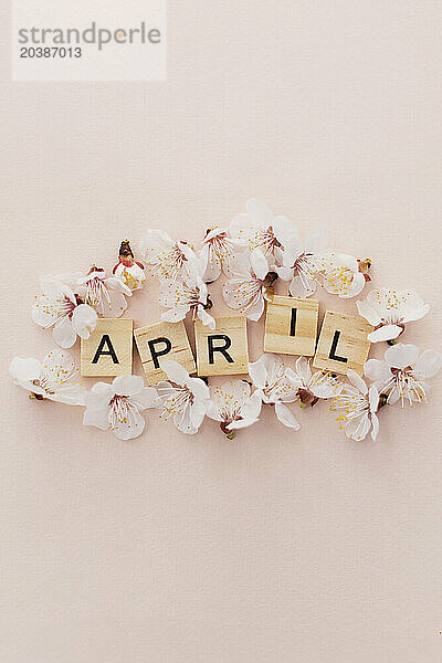 Wooden letter tiles surrounded by apricot blossoms