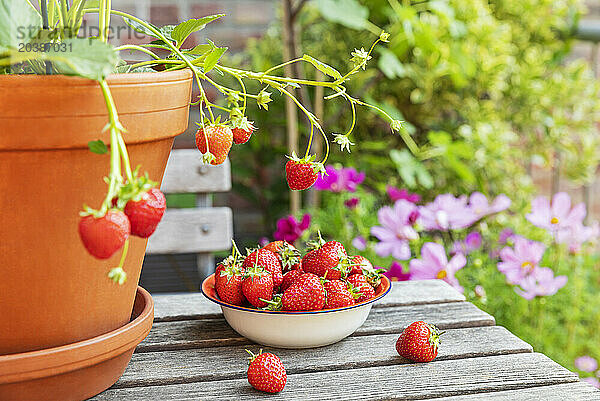 Ripe strawberries on wooden table