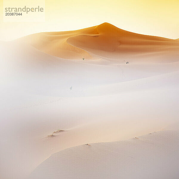 Sand dune of Erg Chegaga in Sahara desert  Morocco  North Africa