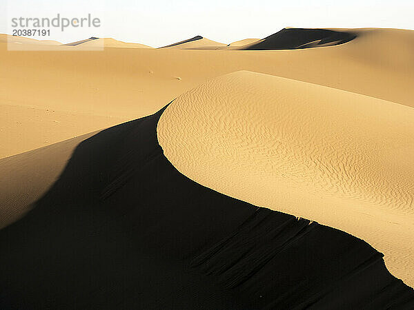 Sand dunes in Sahara desert on sunny day at Morocco  North Africa