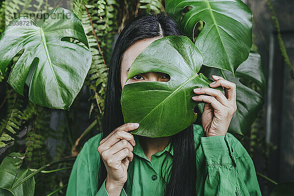 Young woman hiding face with monstera leaf