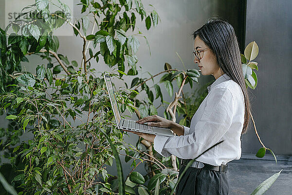 Businesswoman working on laptop near plants in office