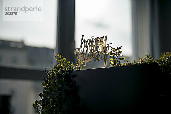 Happy celebrate yourself prop near plants at desk in office