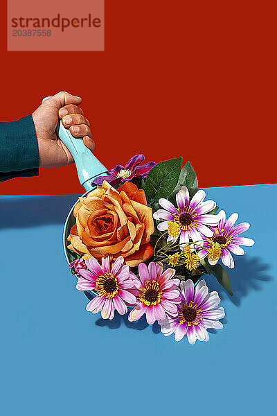 Man holding colorful flowers in frying pan against colored background