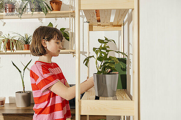 Girl by new wooden rack at home