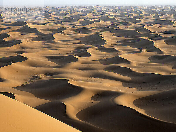 Sand dunes of Erg Chegaga at Sahara desert on sunny day  Morocco  North Africa