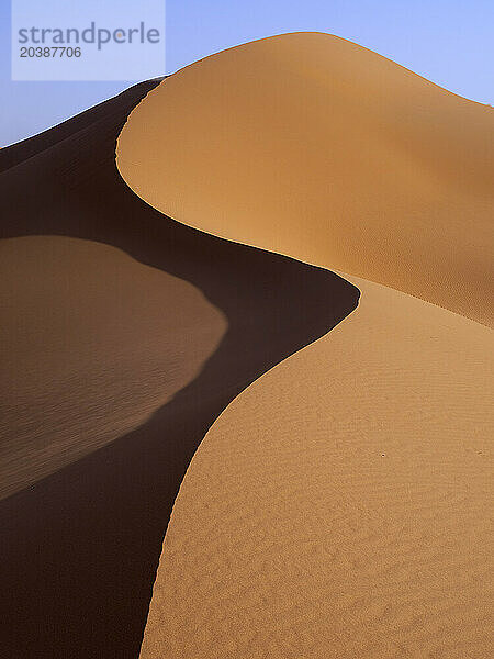 Sand dune of Erg Chegaga in Sahara desert on sunny day  Morocco  North Africa