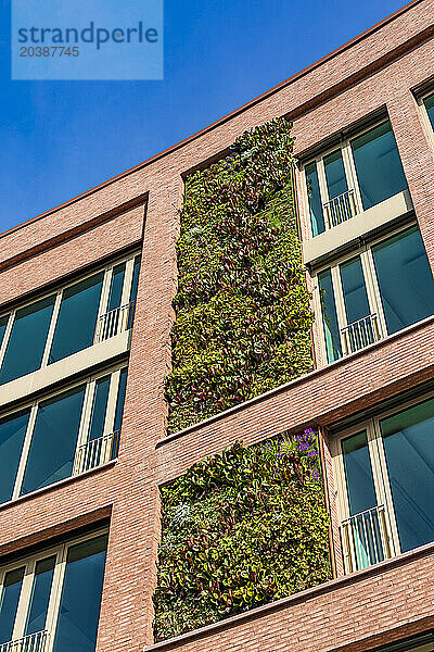 Germany  Baden-Wurttemberg  Stuttgart  Office building with facade greenery
