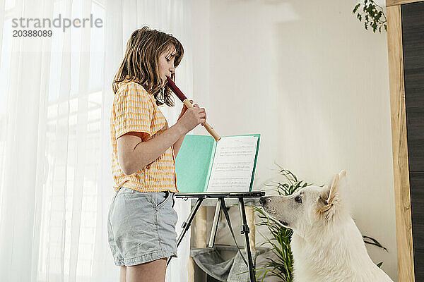 Girl practicing flute near white Swiss Shepherd dog at home