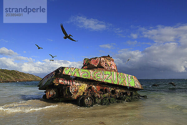 Usa  Porto rico. Culebra Island. Flamenco beach