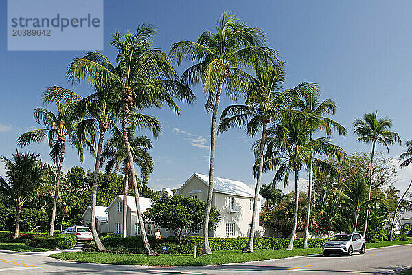 USA. Floride. Naples. Centre ville. Quartier résidentiel.