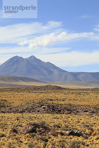 Chile  Antofagasta Region  Atacama Desert  Andes Mountains