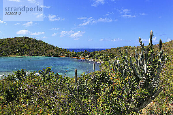 USA  Porto rico. Culebra Island.